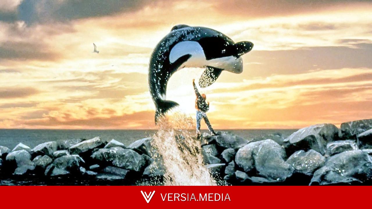 Free Willy vai ganhar reboot produzido pelos diretores de Vingadores